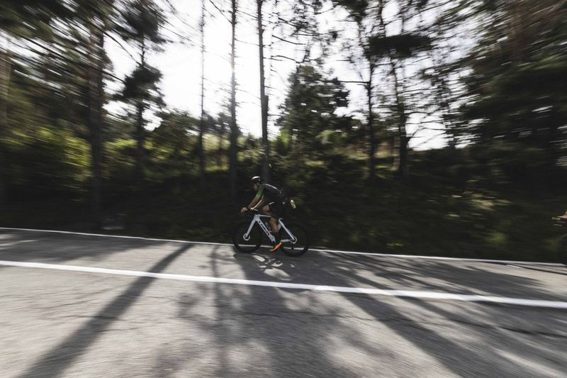 Two riders on a sunlit forest road, panned