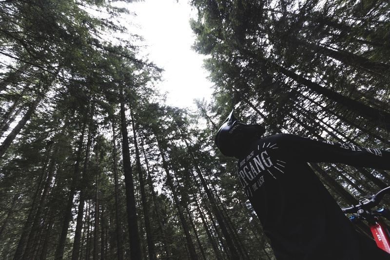 Looking up at the treetops from under a jump